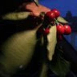 Meet your Posher, Xiaotang